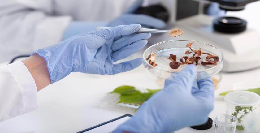 food lab testing in Kensington